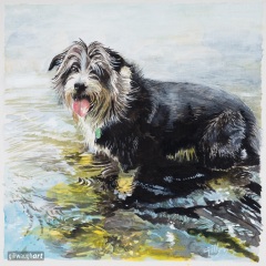 Rory Dog
