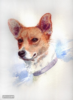 Buster