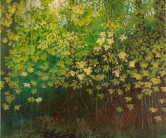Leaves Catching Light