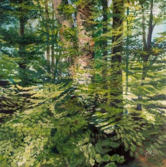 Through the Leaves to the Trees