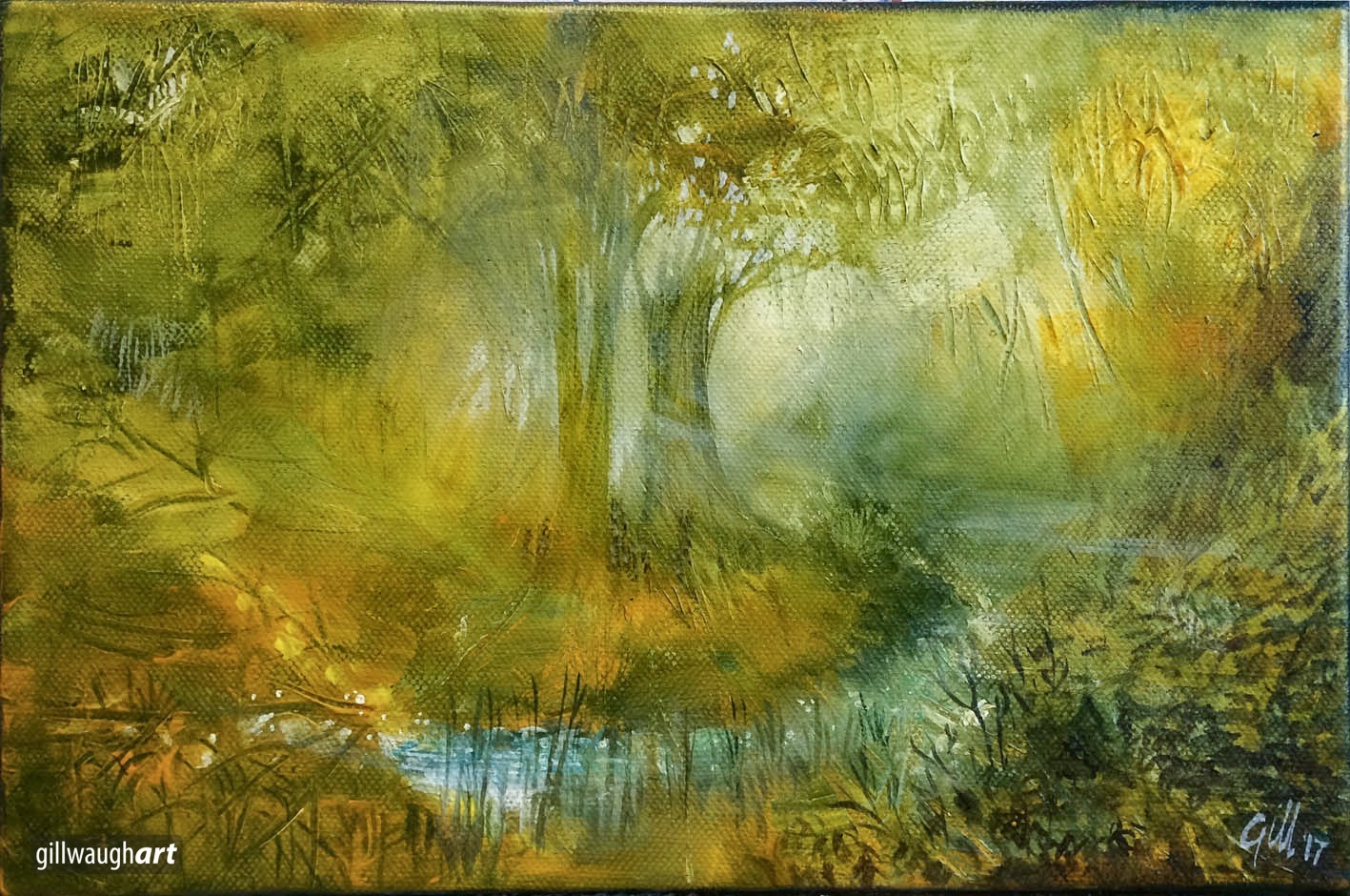 Sunlight By A Stream