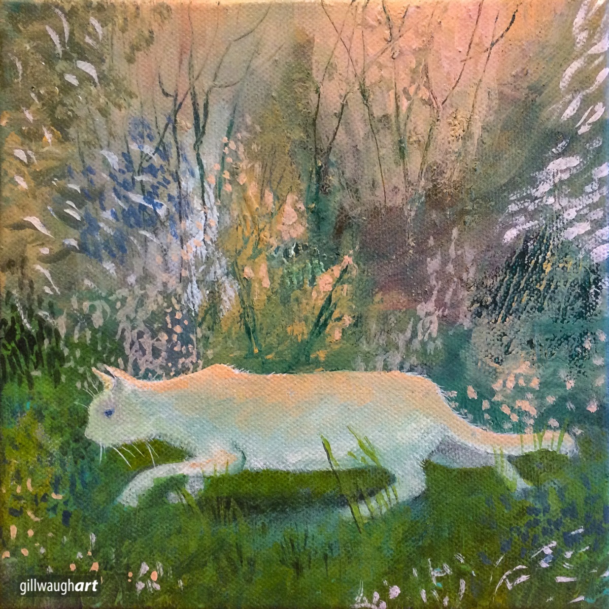 Sunlit Cat